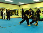 Combat Hapkido 11