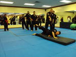 Combat Hapkido