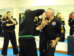 Combat Hapkido